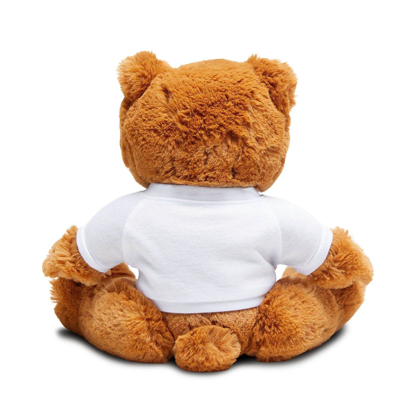 Valentine Teddy Bear with Loving Message